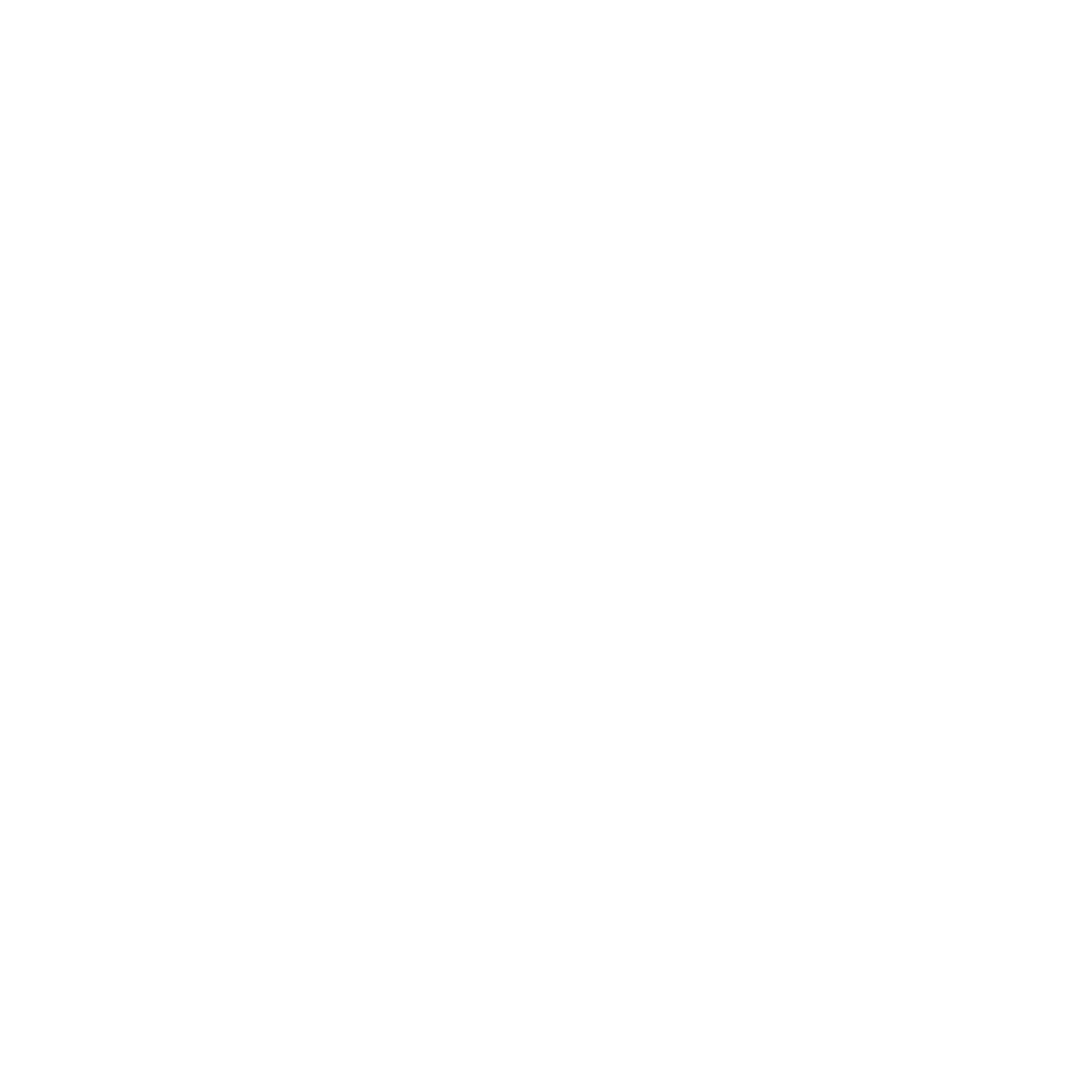 Tiger Limousine